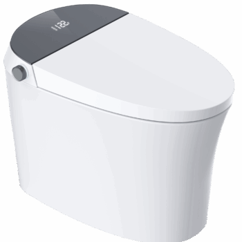 ES Smart Toilet