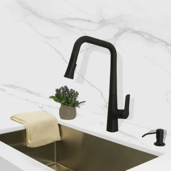 GRANI Pull-down Dual Spray Kitchen Faucet - F23128