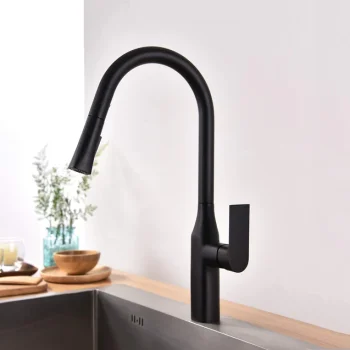 TIMELYSS Pull-down Dual Spray Kitchen Faucet - F23134